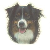 Double Sided Dog Decal Australian Shepherd