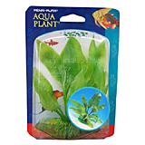 Amazon Sword Aquarium Plant Small