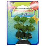 Annubias Foregrounder Silk Aquarium Plant