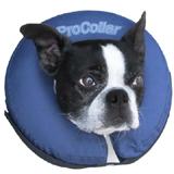 ProCollar Inflatable Elizabethan Collar Medium