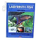 Labyrinth Fish Hardcover Book