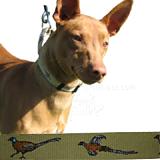 Lg Martingale Dog Collar Pheasants