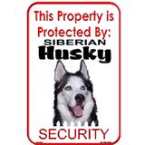 Sign Siberian Husky Security 12 x 18 inch Aluminum