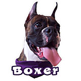 6-inch Vinyl Dog Decal Boxer Brindle Picture