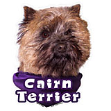 Decal Vinyl Cairn Terrrier
