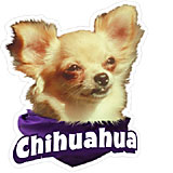6-inch Vinyl Dog Decal Chihuahua Picture