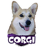 6-inch Vinyl Dog Decal Corgi Picture