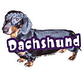 6-inch Vinyl Dog Decal Dachshund Black/Tan Picture