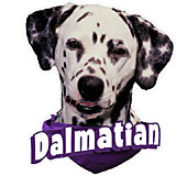 6-inch Vinyl Dog Decal Dalmatian Picture