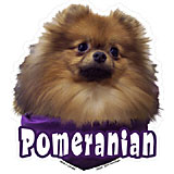 6-inch Vinyl Dog Decal Pomeranian Picture