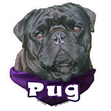 6-inch Vinyl Dog Decal Pug Black Picture