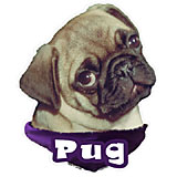 6-inch Vinyl Dog Decal Pug Fawn Picture