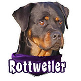 6-inch Vinyl Dog Decal Rottweiler Picture