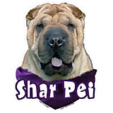 6-inch Vinyl Dog Decal Shar Pei Picture