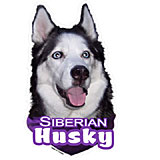 6-inch Vinyl Dog Decal Siberian Husky Picture