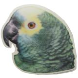 Double Sided Decal Blue Fronted Amazon Parrot