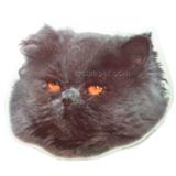 Double Sided Cat Decal Persian Black