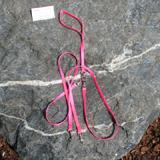 Pet Walker-Plus Nylon Leash 2-Dog Hot Pink Small