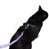 Come With Me Kitty Harness & Bungee Leash Large Lilac