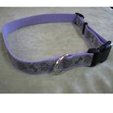 Lazer Brite PawBone Dog Collar Large Reflective