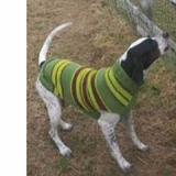 Handmade Dog Sweater Wool Green Rugby XXSmall