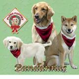 Velvet Santa Bandanna Small