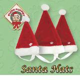 Holiday Santa Hat Medium