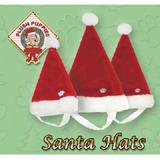 Holiday Santa Hat Large