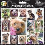 Arf Art Dog Sticker Pack Yorkshire Terrier