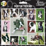 Arf Art Dog Sticker Pack Boston Terrier