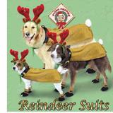 Holiday Reindeer Suit Medium