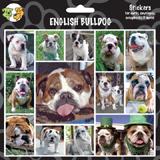 Arf Art Dog Sticker Pack English Bulldog