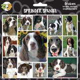 Arf Art Dog Sticker Pack Springer Spaniel