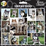 Arf Art Dog Sticker Pack Siberian Husky