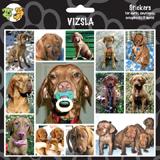Arf Art Dog Sticker Pack Vizsla