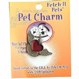 Charm Guardian Angel