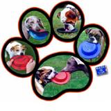 Chewber TUG 'n TOSS Flying Disc Marble