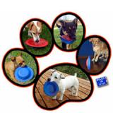 Chewber MINI-CHEWB Flying Disc Marble