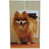PetSafe Alumin Freedom Door Sm