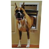 PetSafe Alumin Freedom Door Lg