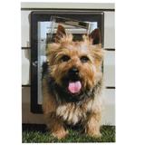 PetSafe Wall Entry Door Sm