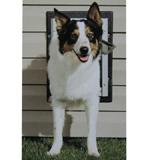 PetSafe Wall Entry Door Med