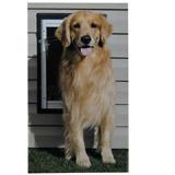 PetSafe Wall Entry Door Lg