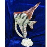 Angelfish Desk Ornament