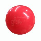Hueter Toledo Best Ball 6 inch Dog Toy