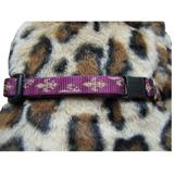 Lupine&reg; Nylon Cat Collar Royal Gold