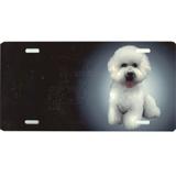 License Plate Bichon Frise