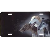 License Plate Greyhounds