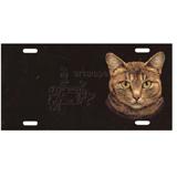 Aluminum Cat Breed License Plate with Orange Tabby Cat