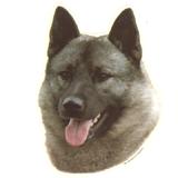 Double Sided Dog Decal Norewegian Elkhound